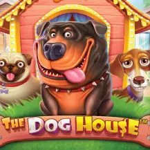 The Dog House — high volatility (96.5% RTP). The base game held my balance well and a bonus hit for 143x on spin 52.